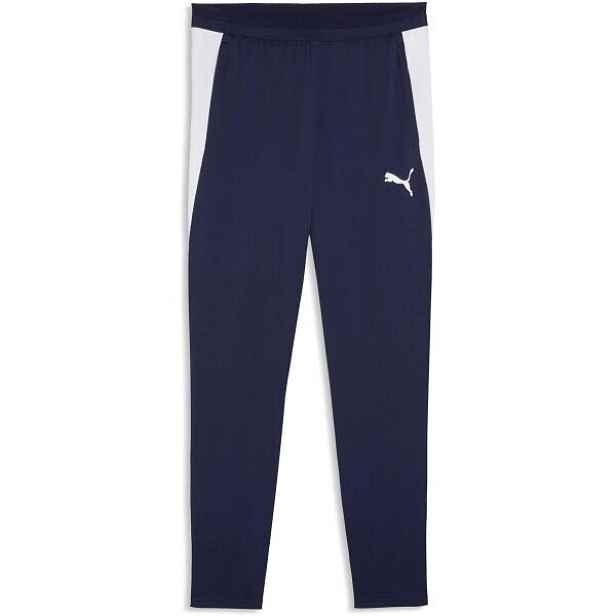 Puma TEAMFINAL 26 TRAINING PANTS Pánské sportovní kalhoty