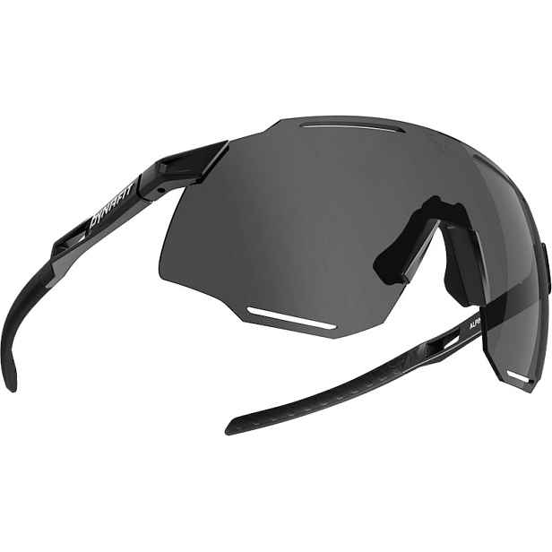 Brýle Dynafit Alpine out/nimbus Barva: , Velikost: UNI