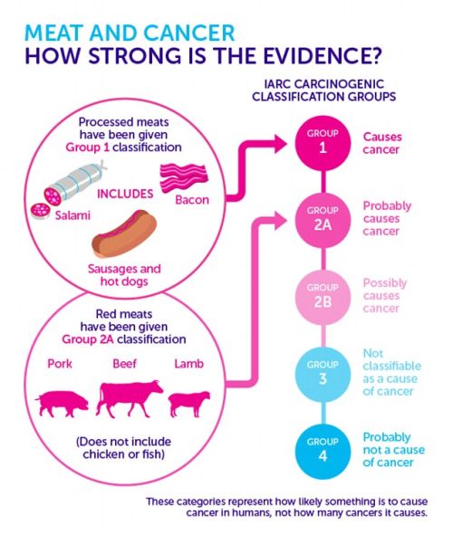 Červené maso a rakovina