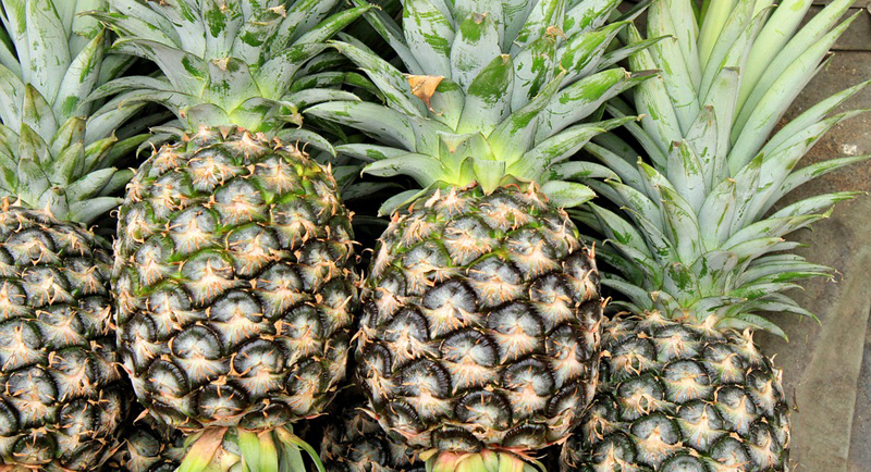 Nejlepší přírodní spalovače tuků - ananas