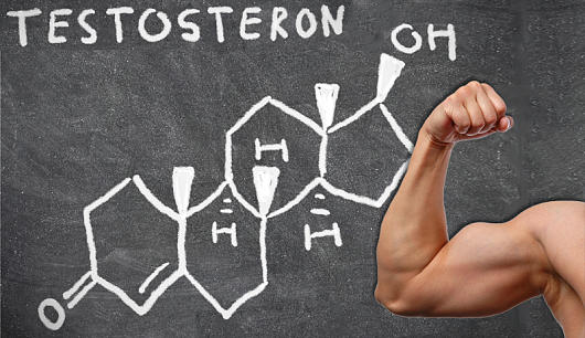 Jak zvýšit hladinu testosteronu